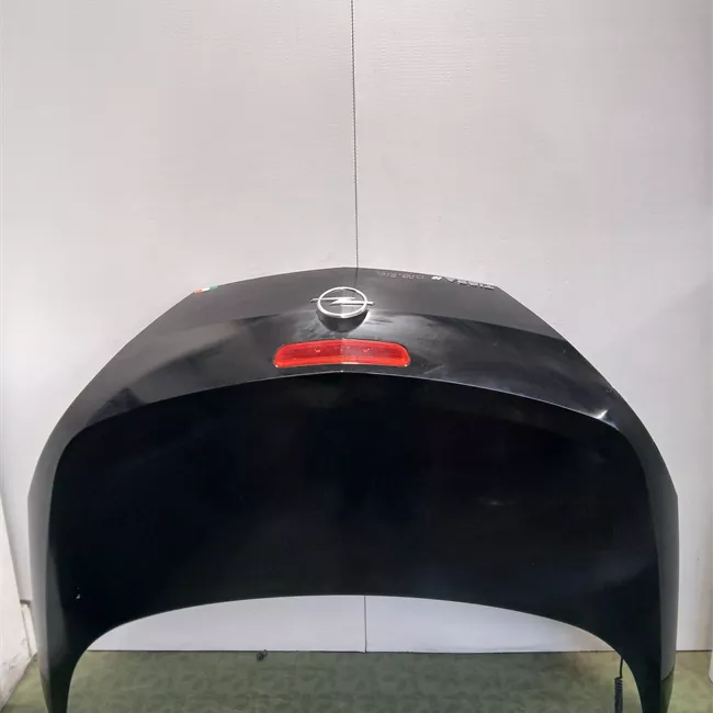 Cofano posteriore