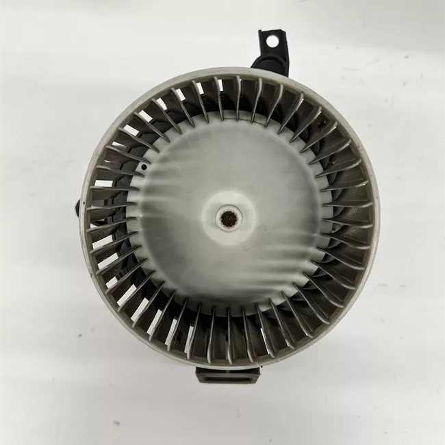 Motorino ventilazione abitacolo