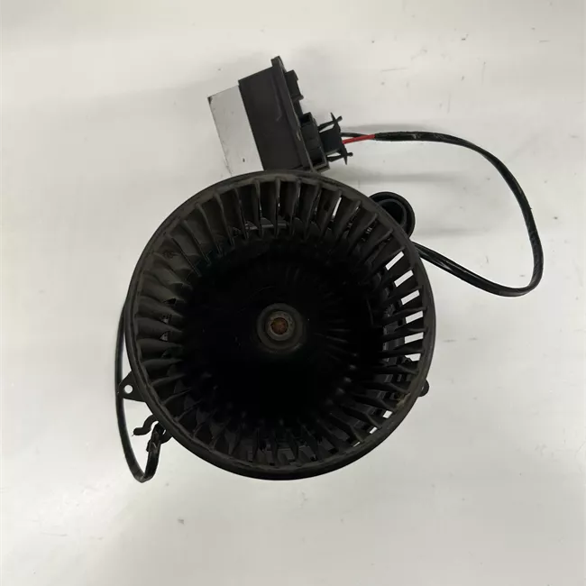 Motorino ventilazione abitacolo