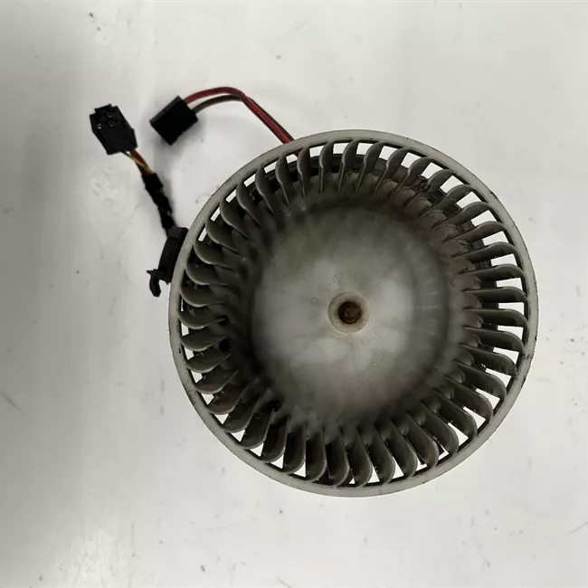 Motorino ventilazione abitacolo