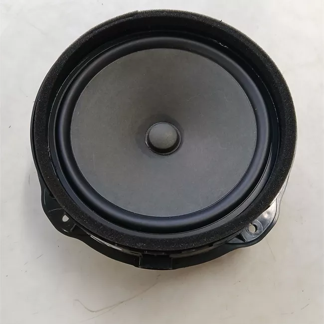 Altoparlante porta anteriore sinistro Woofer