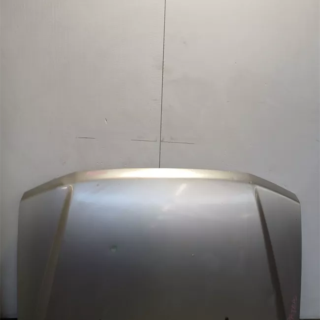 Cofano anteriore