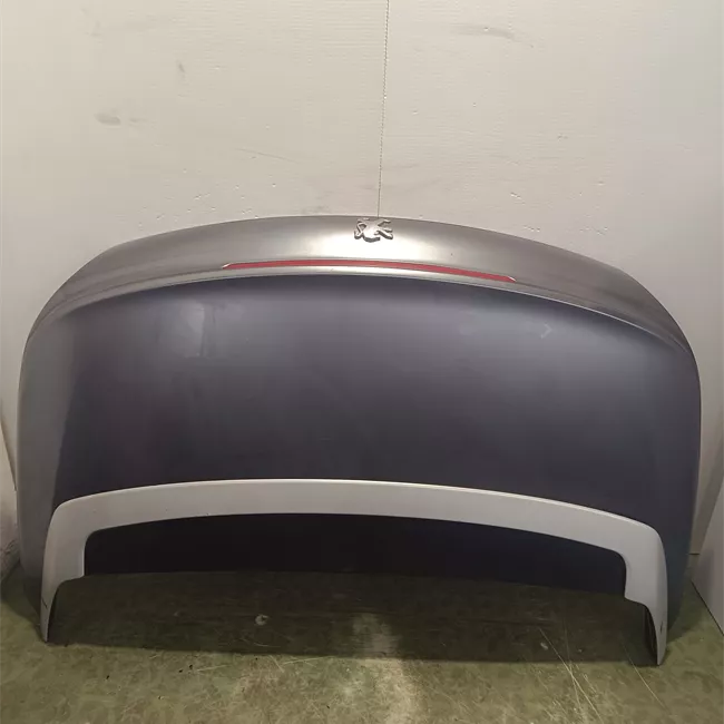 Cofano posteriore
