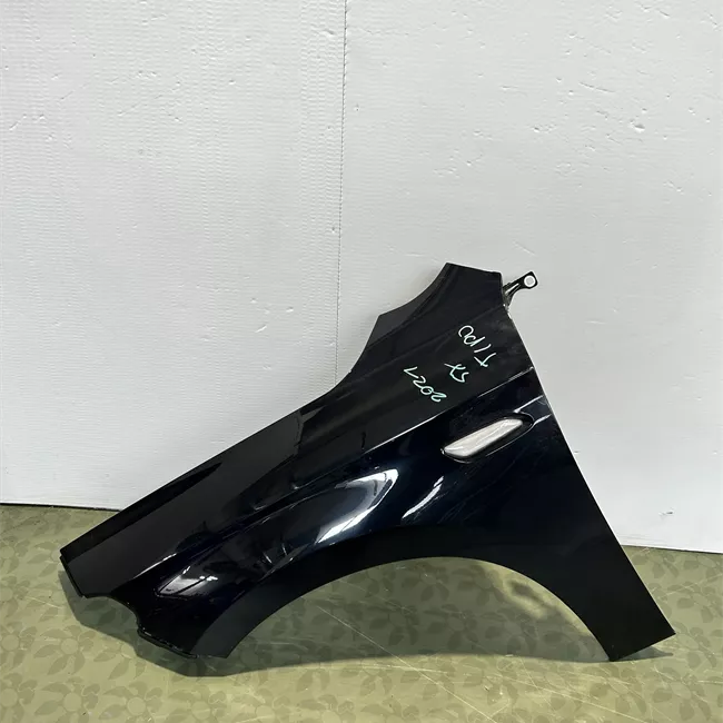 Parafango anteriore sinistro