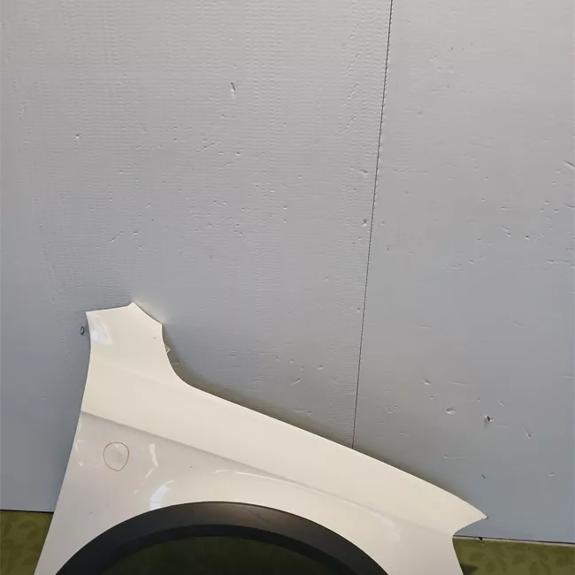 Parafango anteriore destro