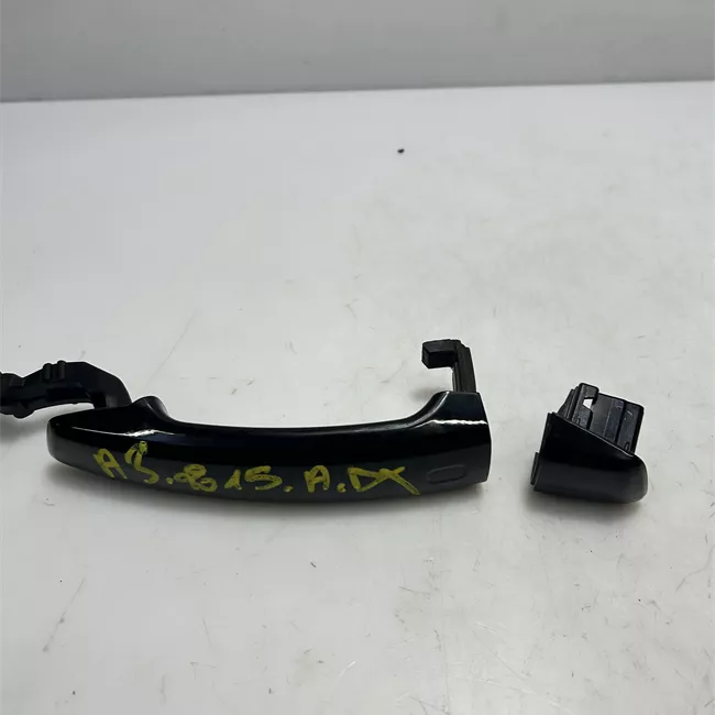 Maniglia porta anteriore destra primer