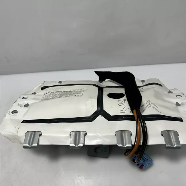 Dispositivo airbag lato passeggero