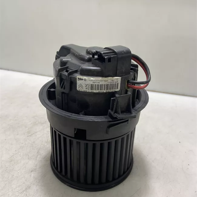 Motorino ventilazione abitacolo