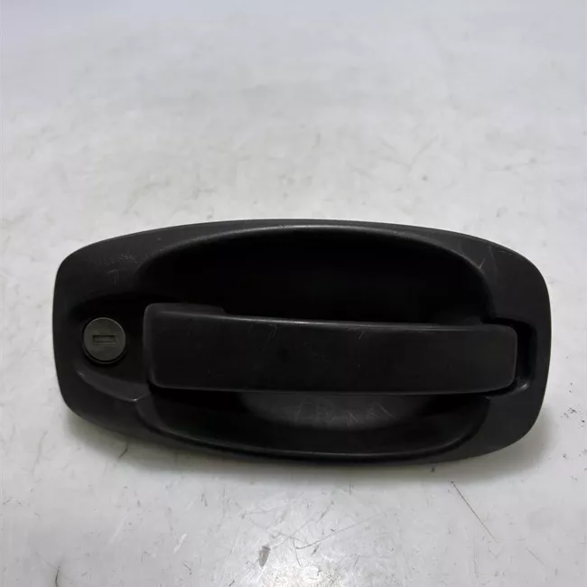 Maniglia porta anteriore sinistra