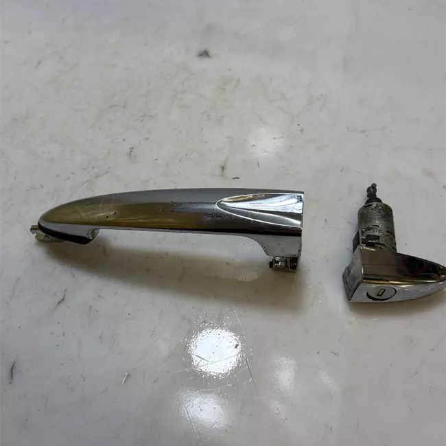 Maniglia porta anteriore sinistra