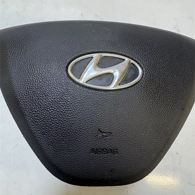 Dispositivo airbag lato guida