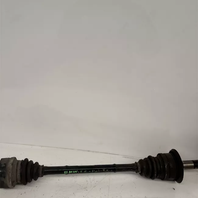 Semialbero posteriore completo sinistro