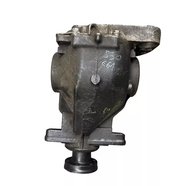 Differenziale posteriore rotazionale ione