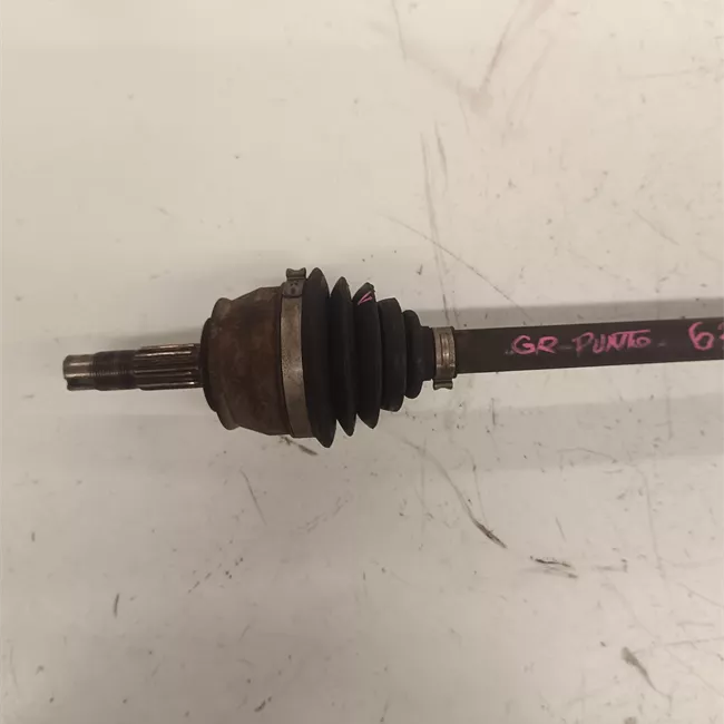 Semialbero anteriore completo destro