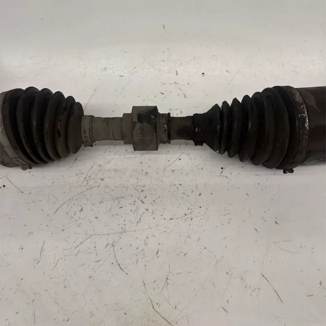 Semialbero anteriore completo sinistro