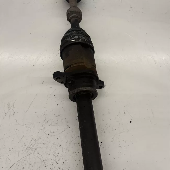 Semialbero anteriore completo destro