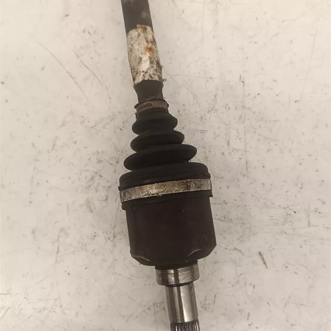 Semialbero anteriore completo sinistro