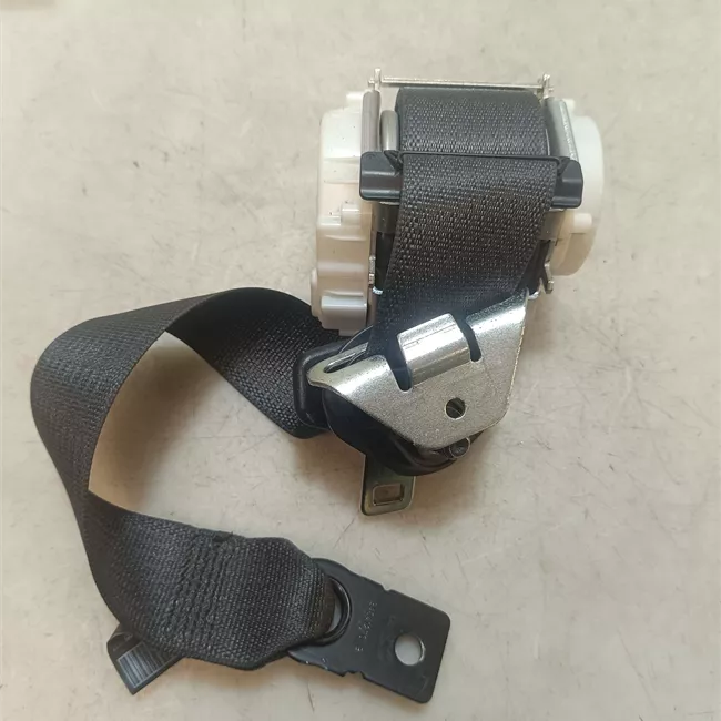 Cintura di sicurezza posteriore sinistra