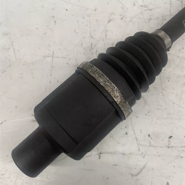 Semialbero anteriore completo destro