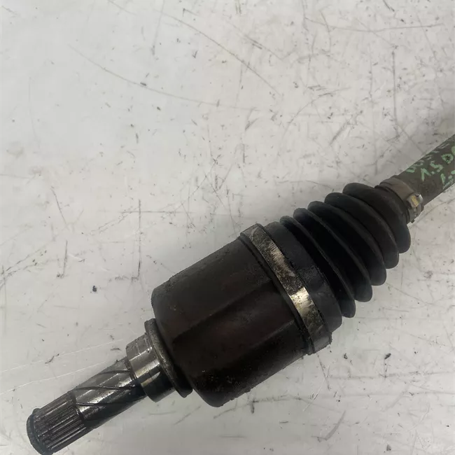 Semialbero anteriore completo sinistro