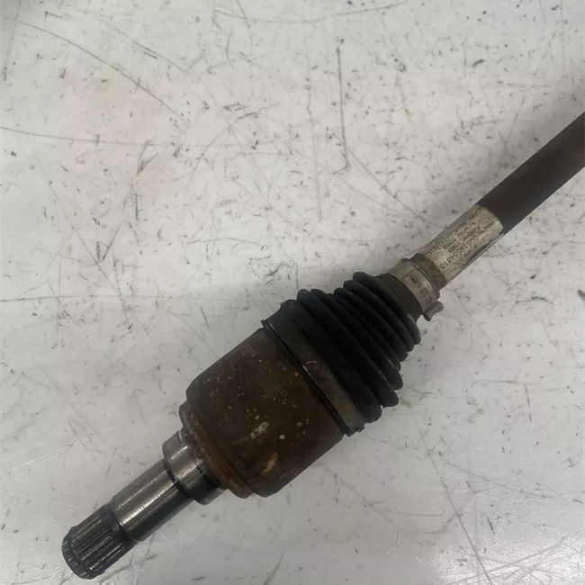 Semialbero anteriore completo sinistro