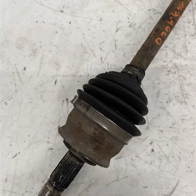 Semialbero anteriore completo sinistro