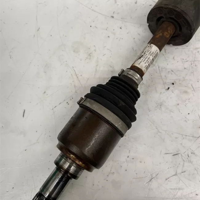 Semialbero anteriore completo destro