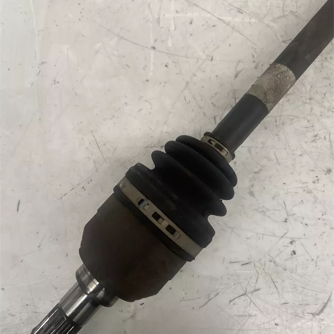 Semialbero anteriore completo destro