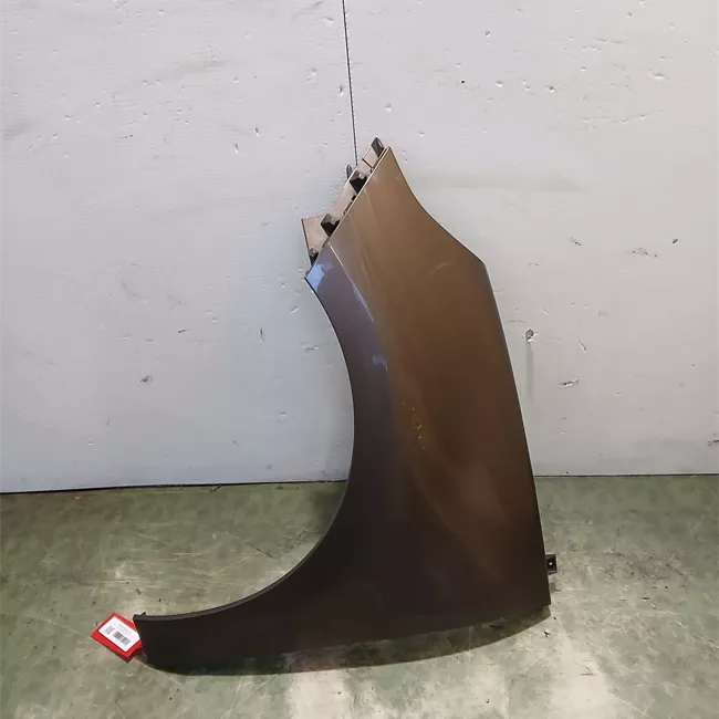 Parafango anteriore sinistro