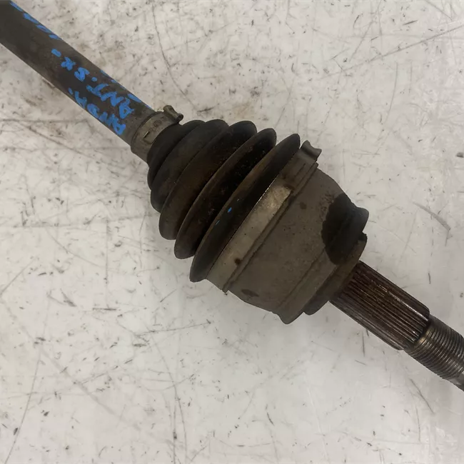 Semialbero anteriore completo sinistro