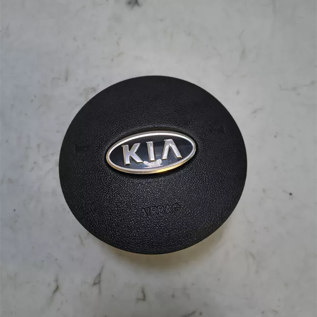 Dispositivo airbag lato guida