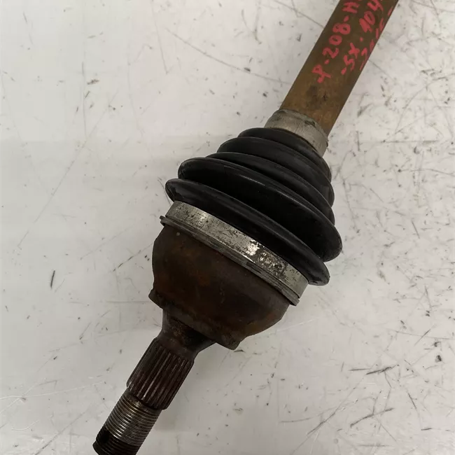 Semialbero anteriore completo sinistro