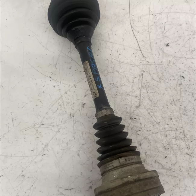 Semialbero anteriore completo sinistro