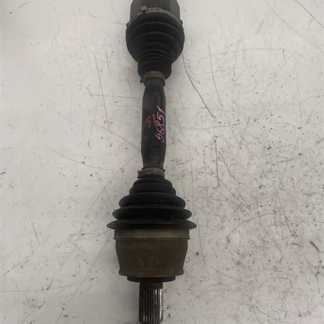 Semialbero anteriore completo sinistro