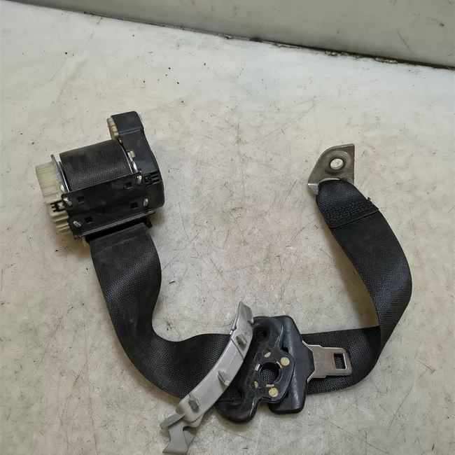 Cintura di sicurezza posteriore destra nero