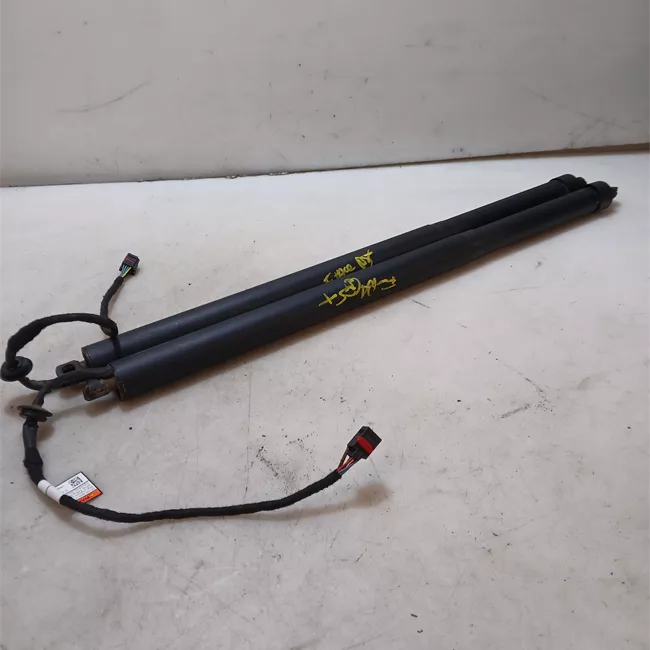 Asta ammortizzante portello posteriore