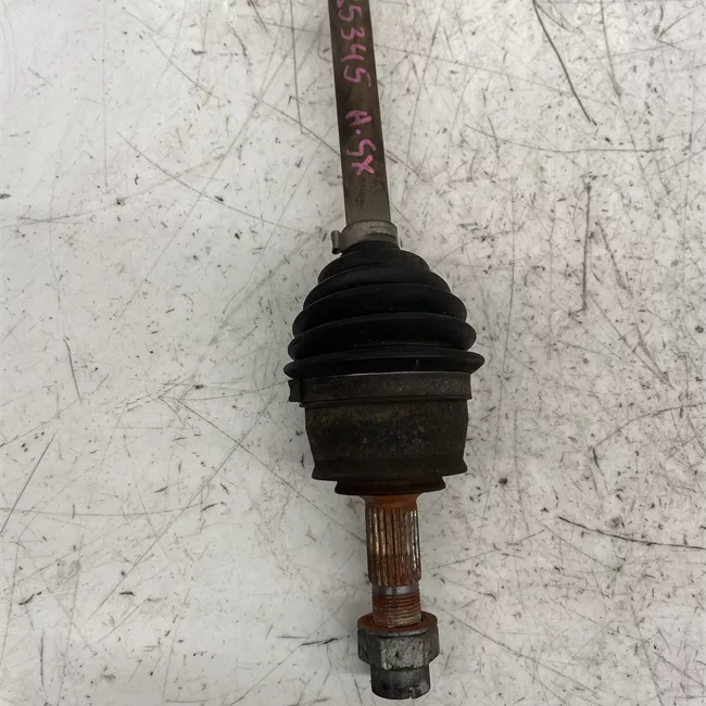 Semialbero anteriore completo sinistro