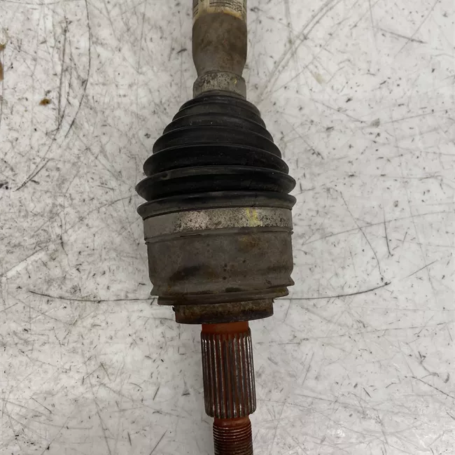 Semialbero anteriore completo sinistro