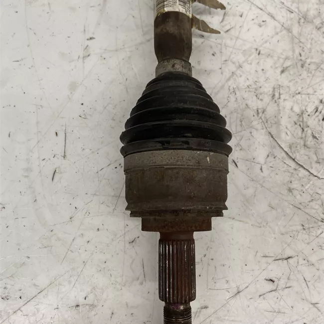 Semialbero anteriore completo destro