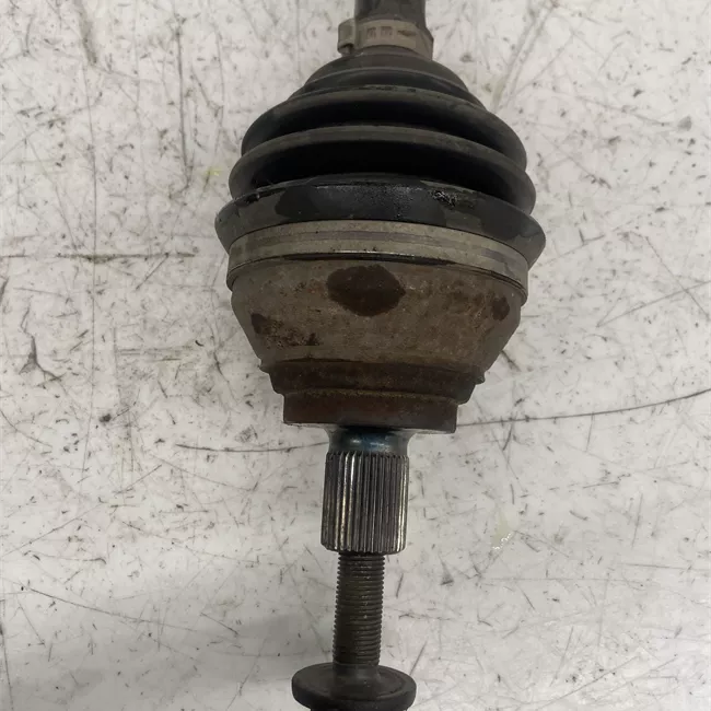 Semialbero anteriore completo sinistro