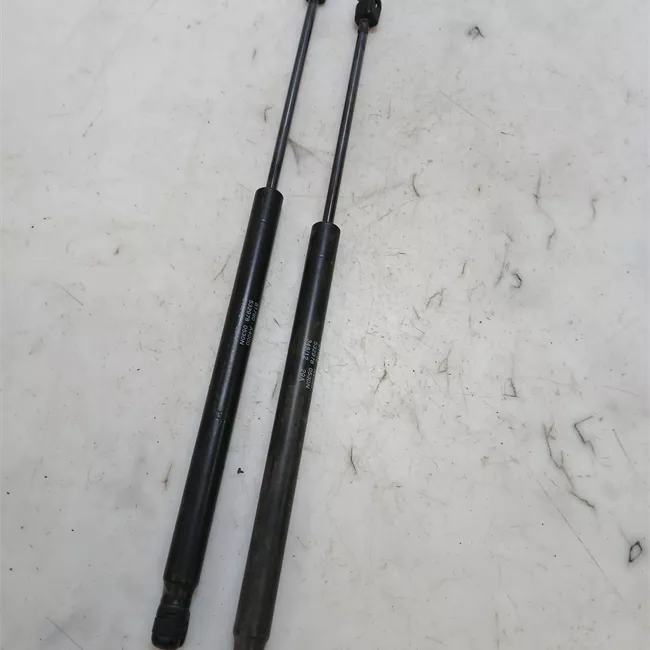 Asta ammortizzante portello posteriore sinistra