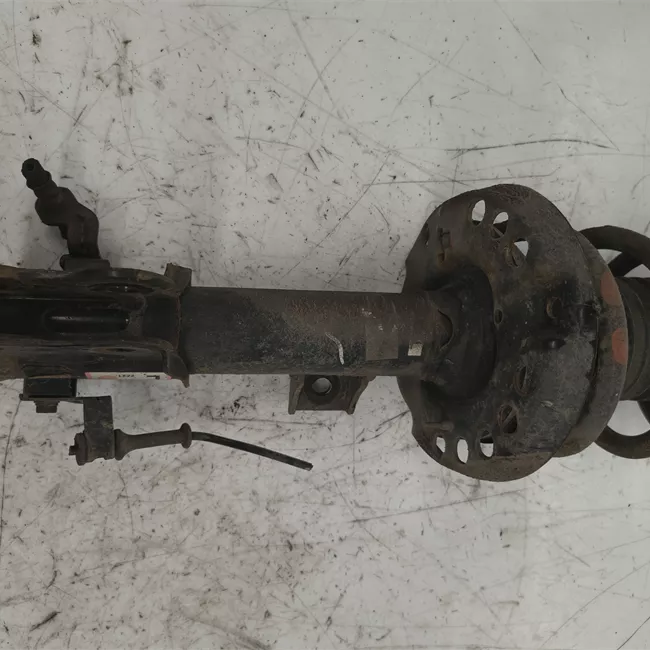 Ammortizzatore anteriore sinistro