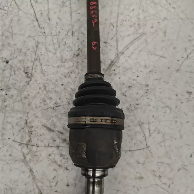 Semialbero anteriore completo sinistro