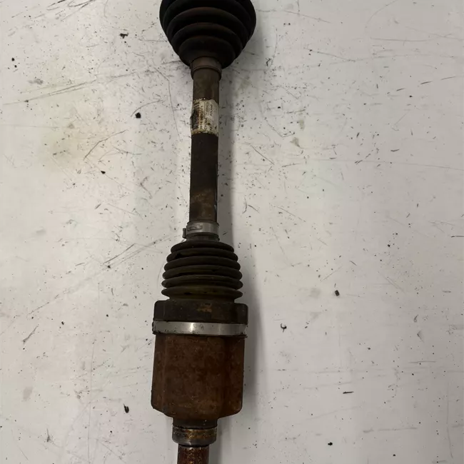 Semialbero anteriore completo sinistro