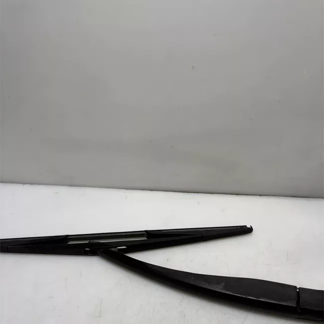 Braccio tergilunotto