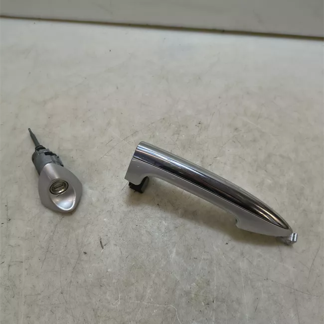 Maniglia porta anteriore sinistra primer