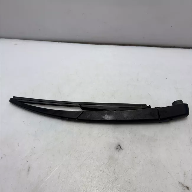 Braccio con spazzola tergilunotto