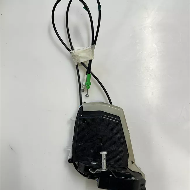 Serratura porta posteriore sinistra