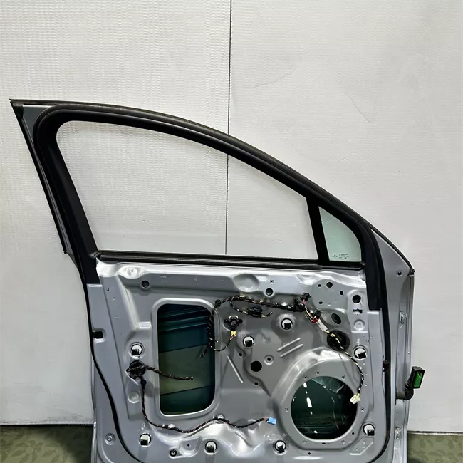 Porta anteriore sinistra primer