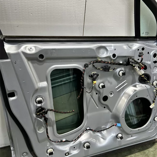 Porta anteriore sinistra primer